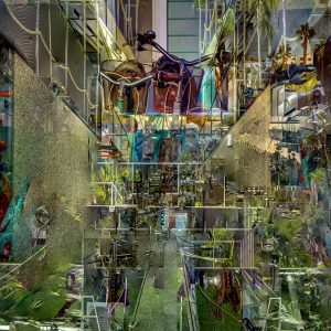 OLYMPUS DIGITAL CAMERA Fotografia Ocho